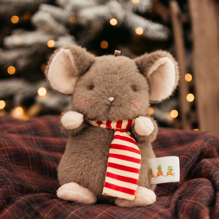 Tidy the Mouse