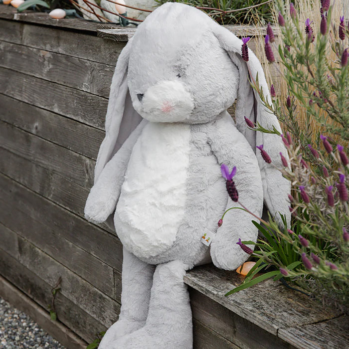 Bigger Nibble Grey 66cm