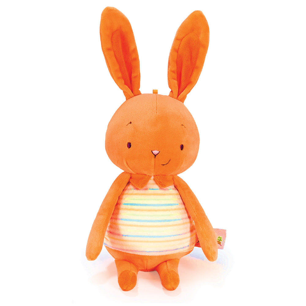 Jelly Buns Orange Marmalade