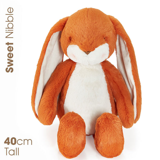 Sweet Nibble Carrot 40cm