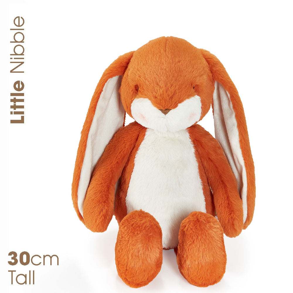 Little Nibble Carrot 30cm