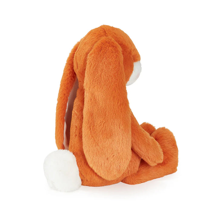 Little Nibble Carrot 30cm