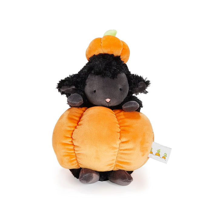 Kiddo Black in Pumpkin