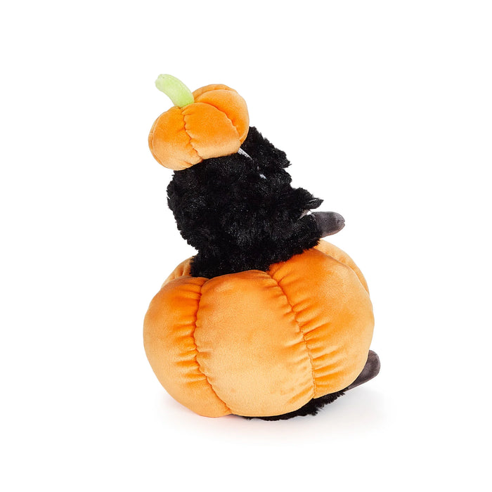 Kiddo Black in Pumpkin