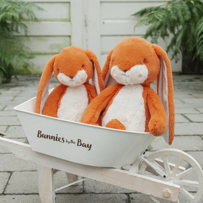 Sweet Nibble Carrot 40cm