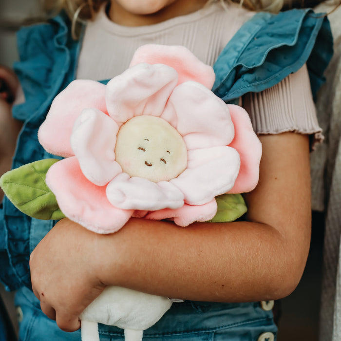 Pretty Peony Flower