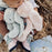 Little Nibble Pink 30cm