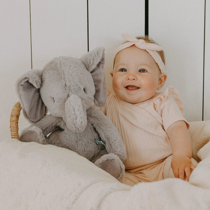 Peanut the Elephant