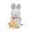 Little Sunshine Bunny